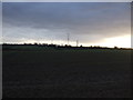 Farmland near Swillington