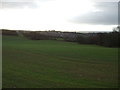 Rolling farmland near Garforth