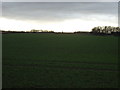 Farmland off the A63