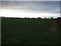 Farmland off the Great North Road