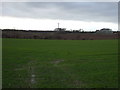 Farmland, Sunningdale