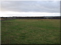 Farmland off the A642