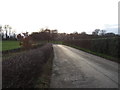 Colton Road towards Temple Newsam