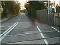 Blackboy Lane looking south from the level crossing