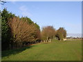 SP1652 : Field south of  former railway bridge by Liz Stone