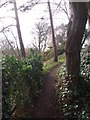 Riverside footpath, Stratford-on-Avon