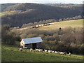 SO5401 : Barn on slopes of Madgett's Hill, Brockweir by Andy Stott