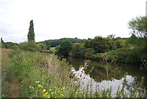 TQ6851 : River Medway by N Chadwick
