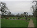 Trimdon Cemetery