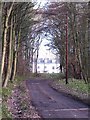 Woodhouse Lane, Pocklington Wood