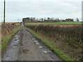 Farm Road near Crossings Wood