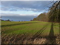 Farmland near Middle Wood