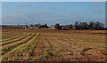 Stubble Field, Shields Farm