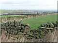 Dry stone walls on Ingbirchworth Moor