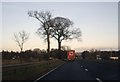 On the A90 in a mild winter