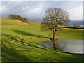 Pasture, Kirkoswald