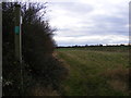 Footpath to the B1117