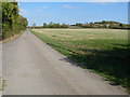 Driveway and footpath