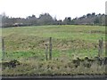 Rough grazing above Whams Road