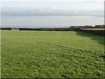 SE1807 : Walled field near Slack Mouth by Christine Johnstone