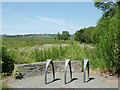 Bike park and bog near Tregaron, Ceredigion