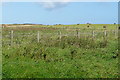 Land at Boulby Barns Farm