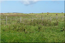 NZ7519 : Land at Boulby Barns Farm by Graham Horn