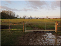 TF6302 : Horse paddock by Stonehills Farm by Hugh Venables