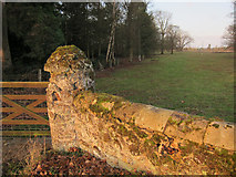 TF6201 : Gatepost near Ryston Hall by Hugh Venables