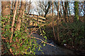 A bridge over Coney Gut near the Homebase store as seen from downstream