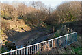 The view upstream from where Coney Gut passes under the A39, Eastern Avenue