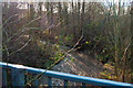 The view downstream from a bridge which takes the A39, Eastern Avenue, over Coney Gut