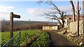 Road to Cambusnethan Wood