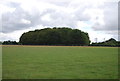 Looking east from Henley Rd