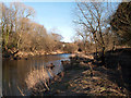 River Wear south-west of Newfield