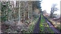 Farm track outside Kelso