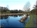The Barnsley Canal near Smithies