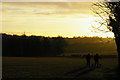 TQ4463 : Dog-walkers, late afternoon winter light, Farnborough by Christopher Hilton