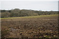 Arable field near Combend Manor