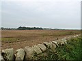 Looking south from the viewpoint on the A711