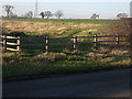 Now fenced off  the old Drive way to Totty