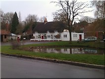 SU5646 : Thatched cottage by village pond, North Waltham by David Martin