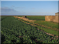 Pillbox by Poppylot Farm