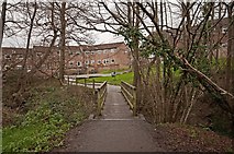 SS5832 : A footbridge & cyclepath crossing Coney Gut by Roger A Smith