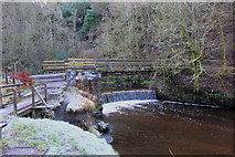 NS6552 : Bridge and Horseshoe Falls, Calderglen Country Park by Jim Barton
