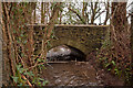 A bridge over Coney Gut near Maidenford as seen from downstream