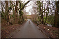 A bridge over Coney Gut near Maidenford