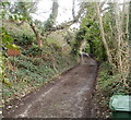 Track east from White Hart, Machen