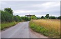 Bowling Green Lane near Whiston Cross