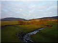 Frenchland Burn from bridge over the A708 Moffat to Selkirk Road